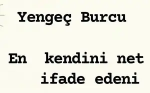 n16 (5).webp