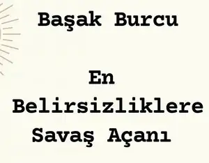 n16 (7).webp