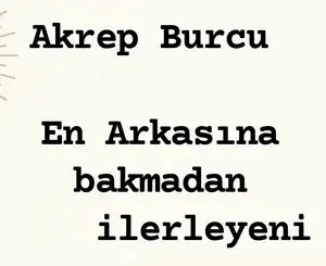n16 (9).webp