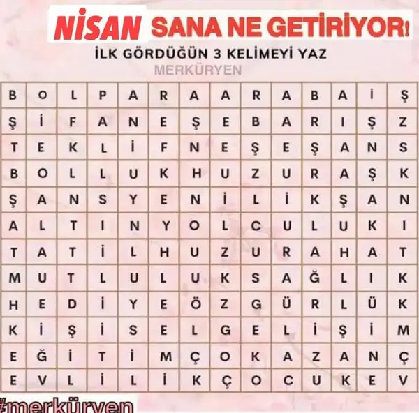 n17.webp