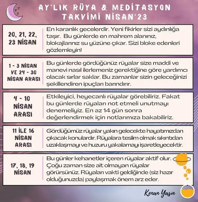 n19 (1).webp