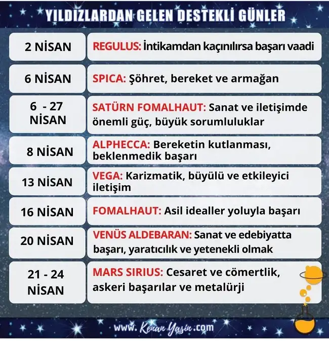 n19 (2).webp