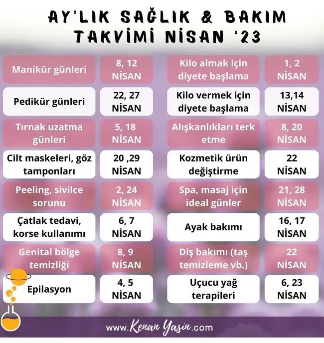 n19 (4).webp