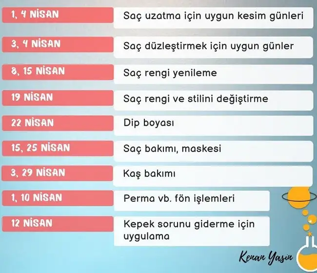 n19 (5).webp