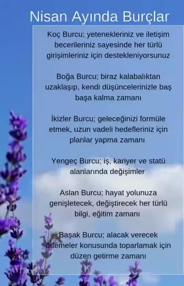 n2 (1).webp