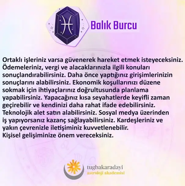 n2 (13).webp