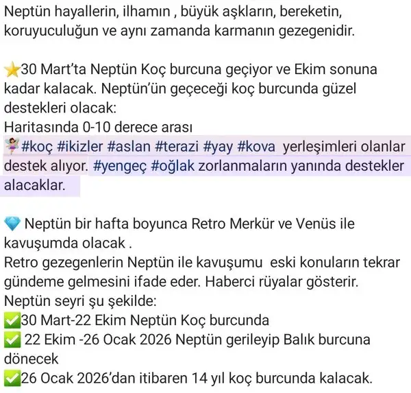 n2 (2).webp