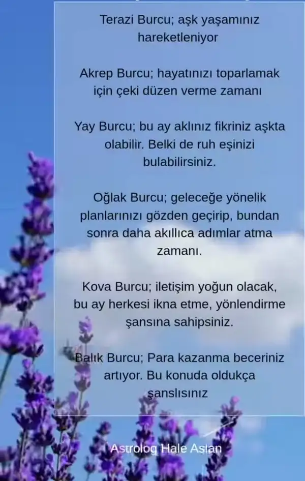 n2 (2).webp