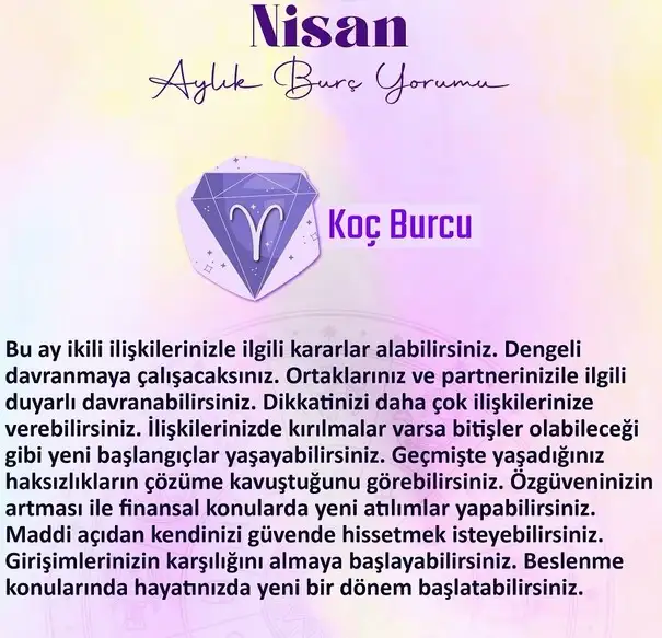 n2 (2).webp