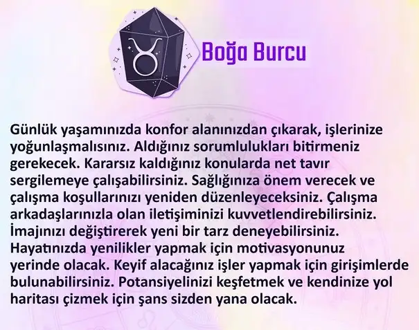 n2 (3).webp