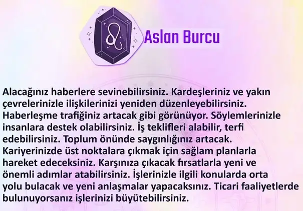 n2 (6).webp