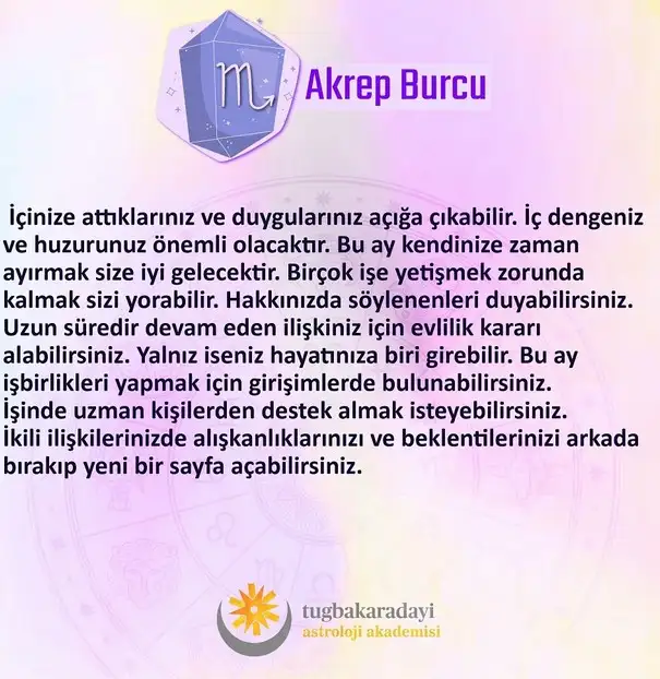 n2 (9).webp
