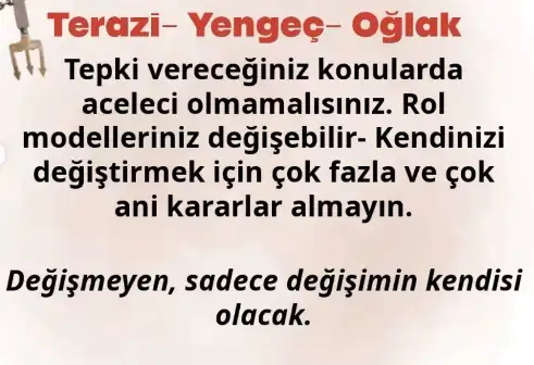 n2.webp