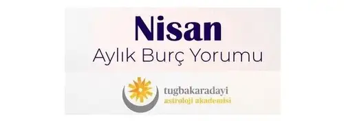 n20 (1).webp