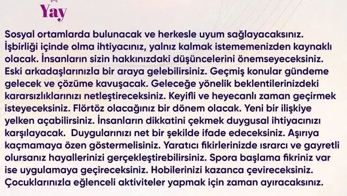 n20 (10).webp