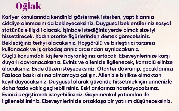 n20 (11).webp