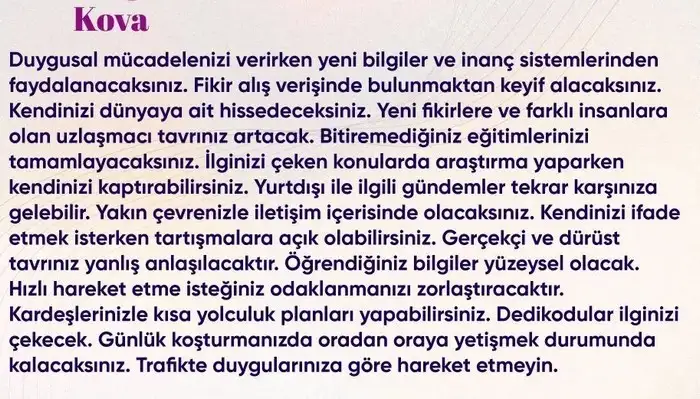 n20 (12).webp