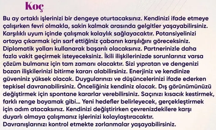 n20 (2).webp