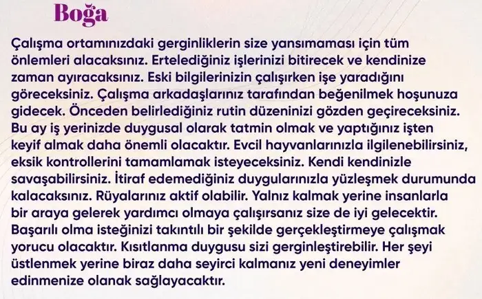 n20 (3).webp