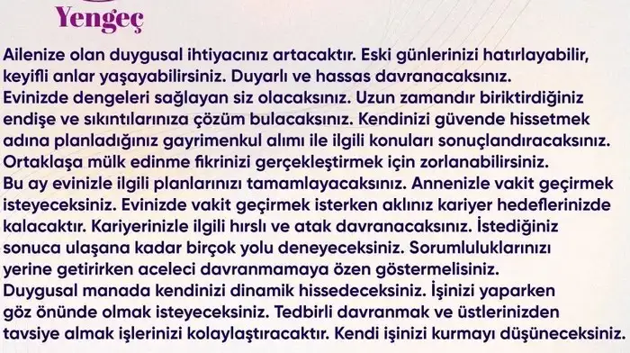 n20 (5).webp