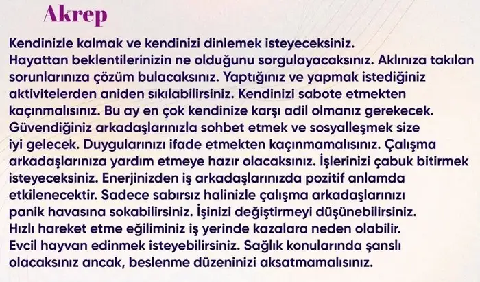 n20 (9).webp