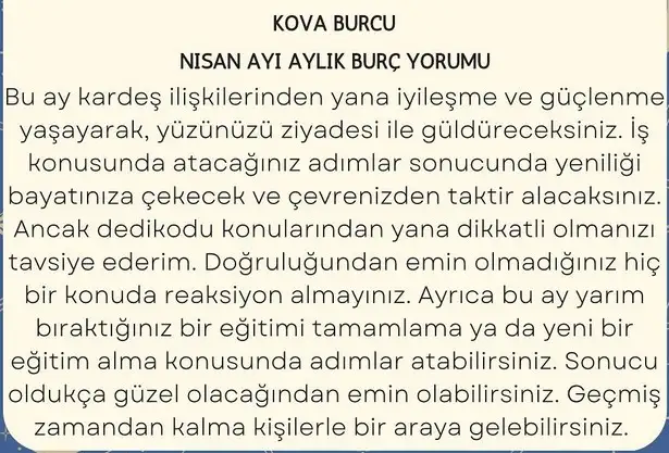 n22 (11).webp