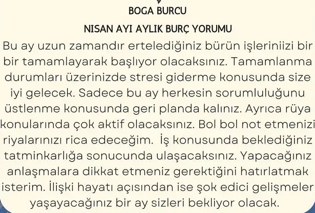 n22 (2).webp