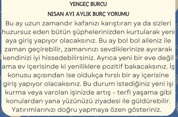 n22 (4).webp