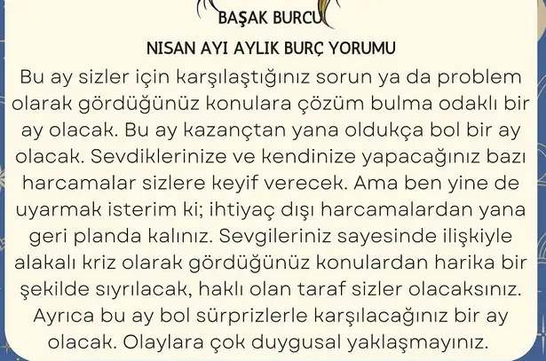n22 (6).webp
