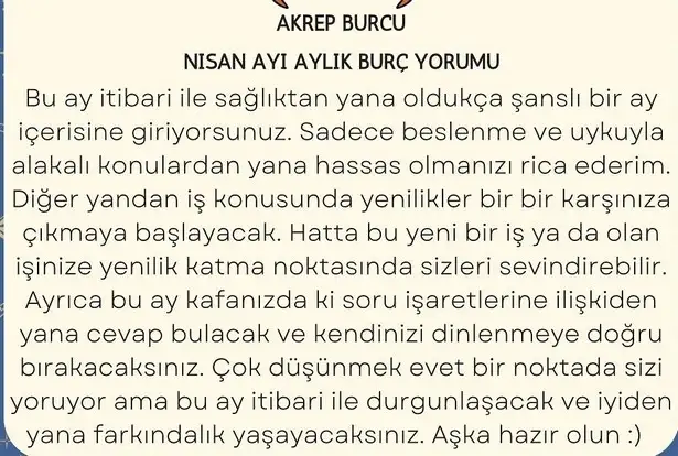 n22 (8).webp