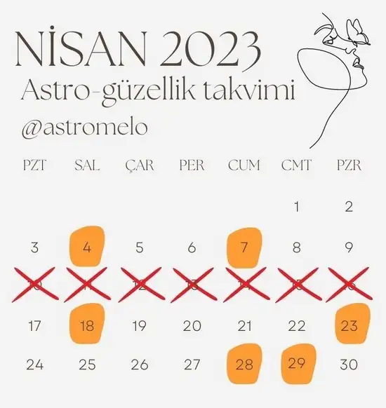 n27.webp