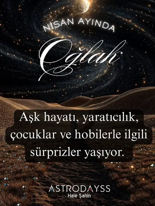 n3 (10).webp
