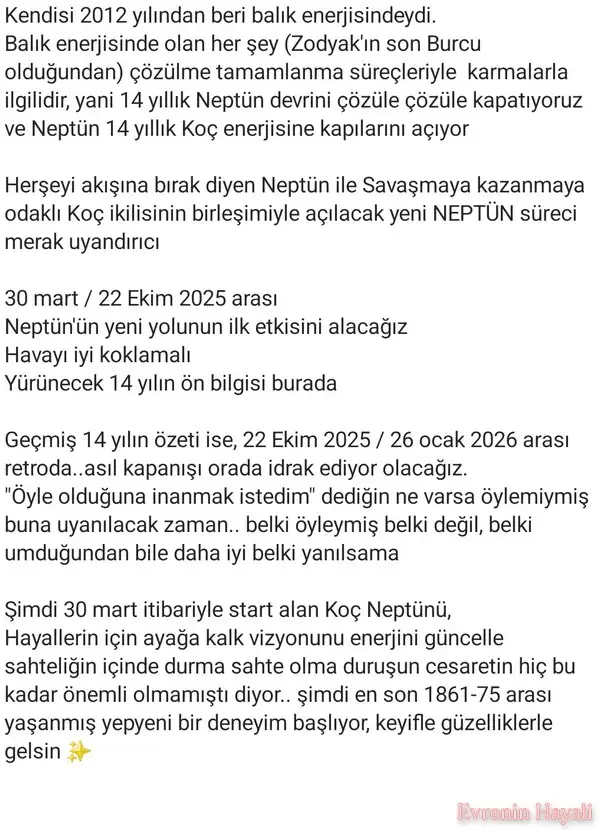 n3 (3).webp