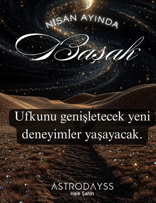 n3 (6).webp