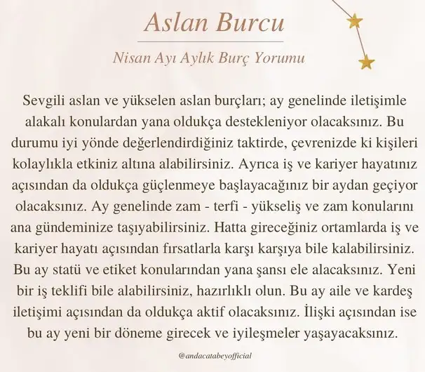 n5 (5).webp