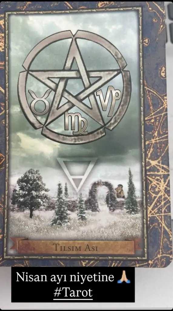 n6 (1).webp