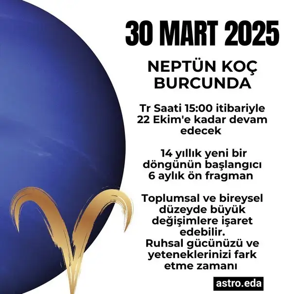 n7.webp