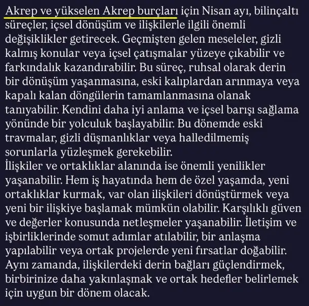 n9 (9).webp