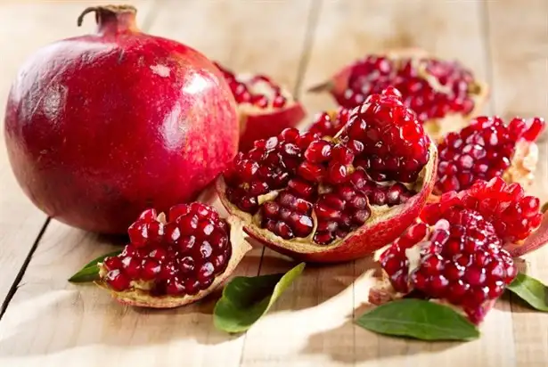 nar_0c595fa4-1566-492a-801e-5752cd04f100_1.webp