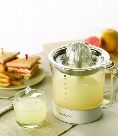 Narenciye Kenwood 1 l.webp