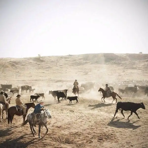 national-geographic-instagram-da-national-geographic-instagram-1429284.webp