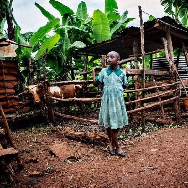 national-geographic-instagram-da-national-geographic-instagram-1429290.webp