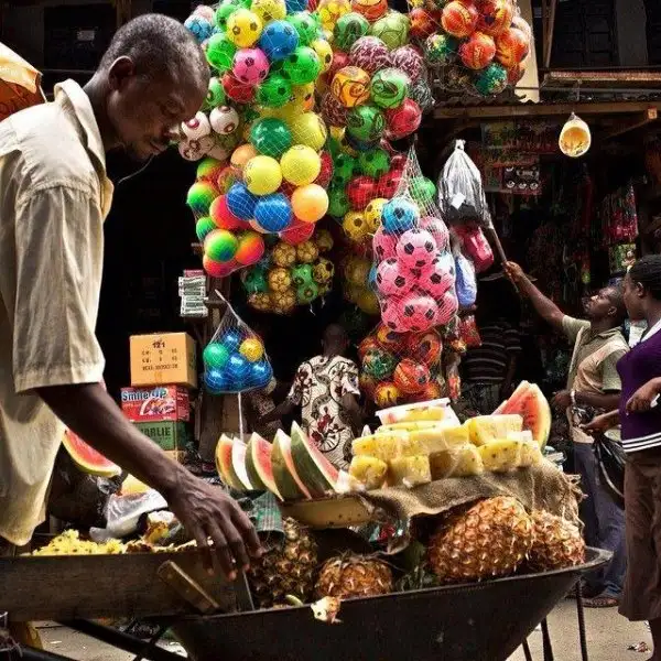 national-geographic-instagram-da-national-geographic-instagram-1429301.webp