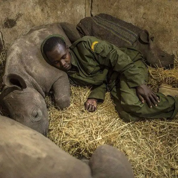 national-geographic-instagram-da-national-geographic-instagram-1429302.webp