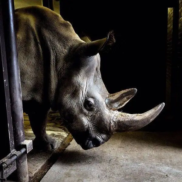 national-geographic-instagram-da-national-geographic-instagram-1429306.webp