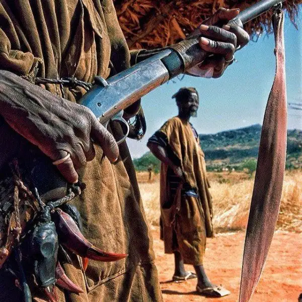 national-geographic-instagram-da-national-geographic-instagram-1429309.webp