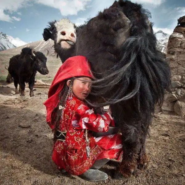 national-geographic-instagram-da-national-geographic-instagram-1429312.webp