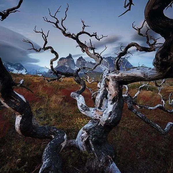 national-geographic-instagram-da-national-geographic-instagram-1429314.webp
