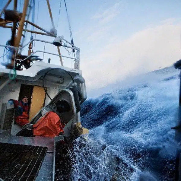 national-geographic-instagram-da-national-geographic-instagram-1429317.webp
