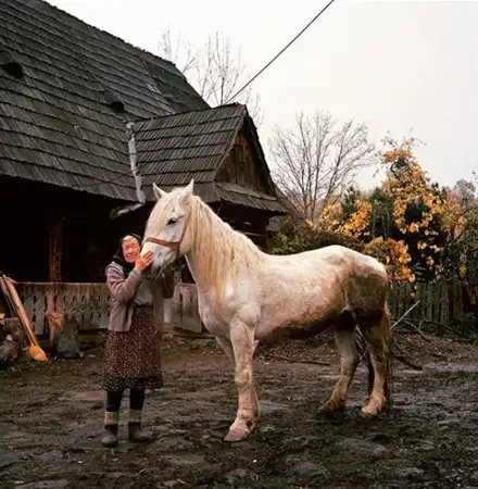 national-geographic-instagram-da-national-geographic-instagram-1674890.webp